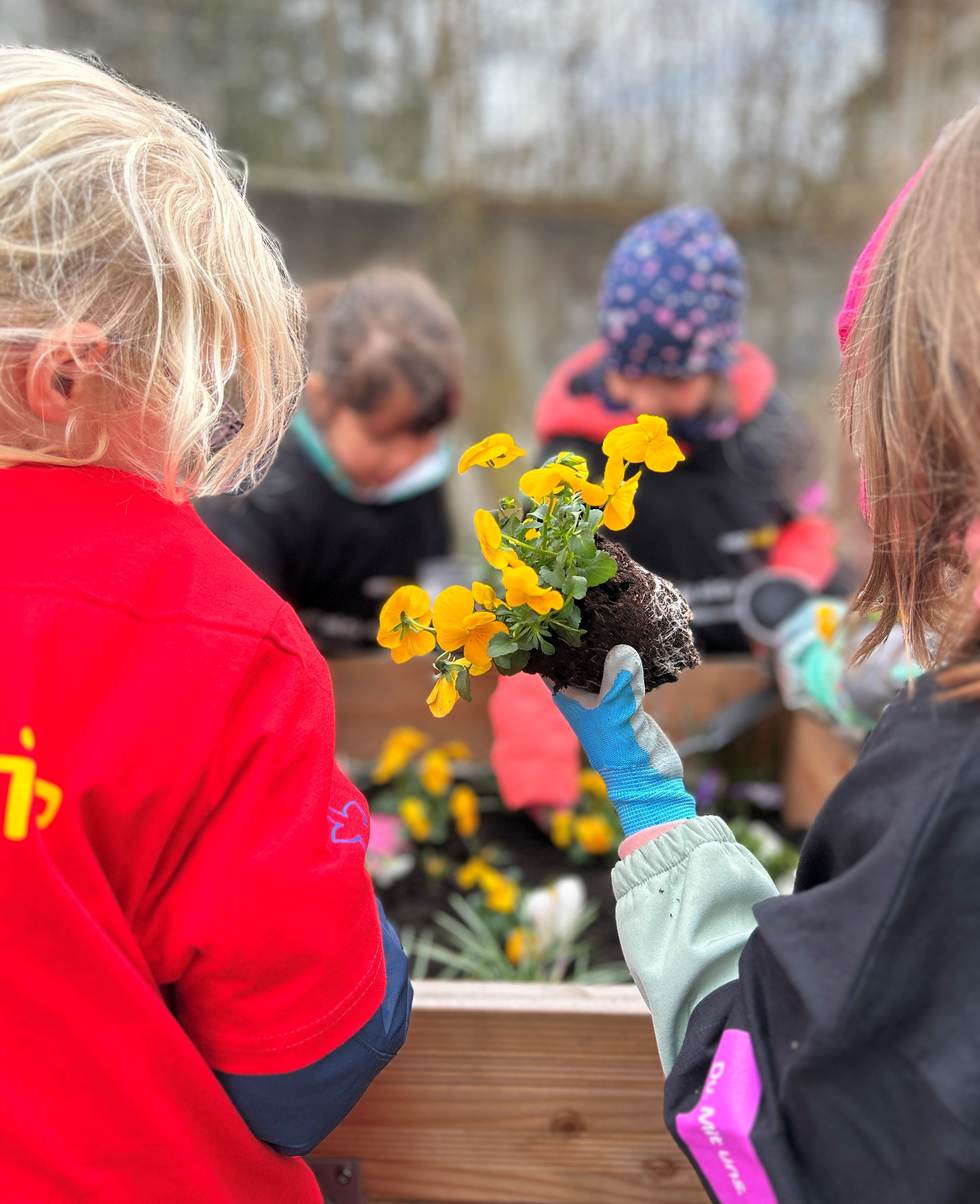 250425_Zwei Hochbeete für Grundschule Kaan-Marienborn 2.jpg