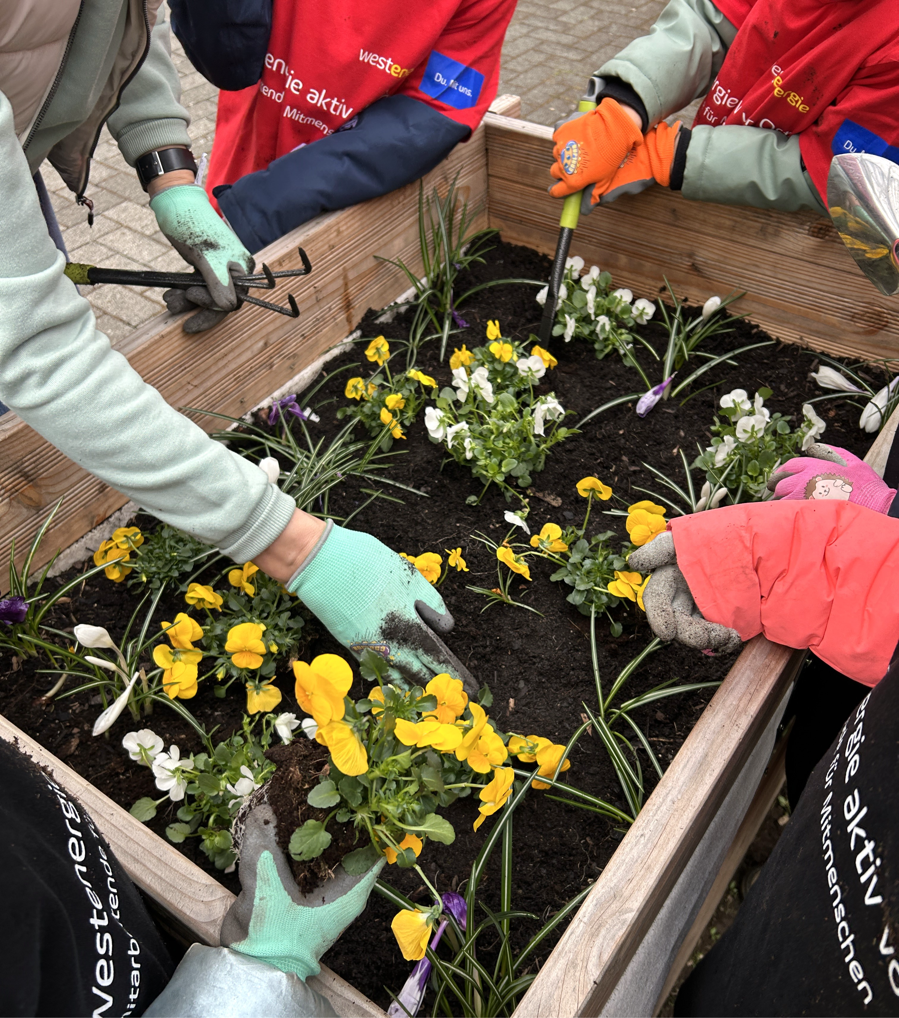 250425_Zwei Hochbeete für Grundschule Kaan-Marienborn 3.JPG