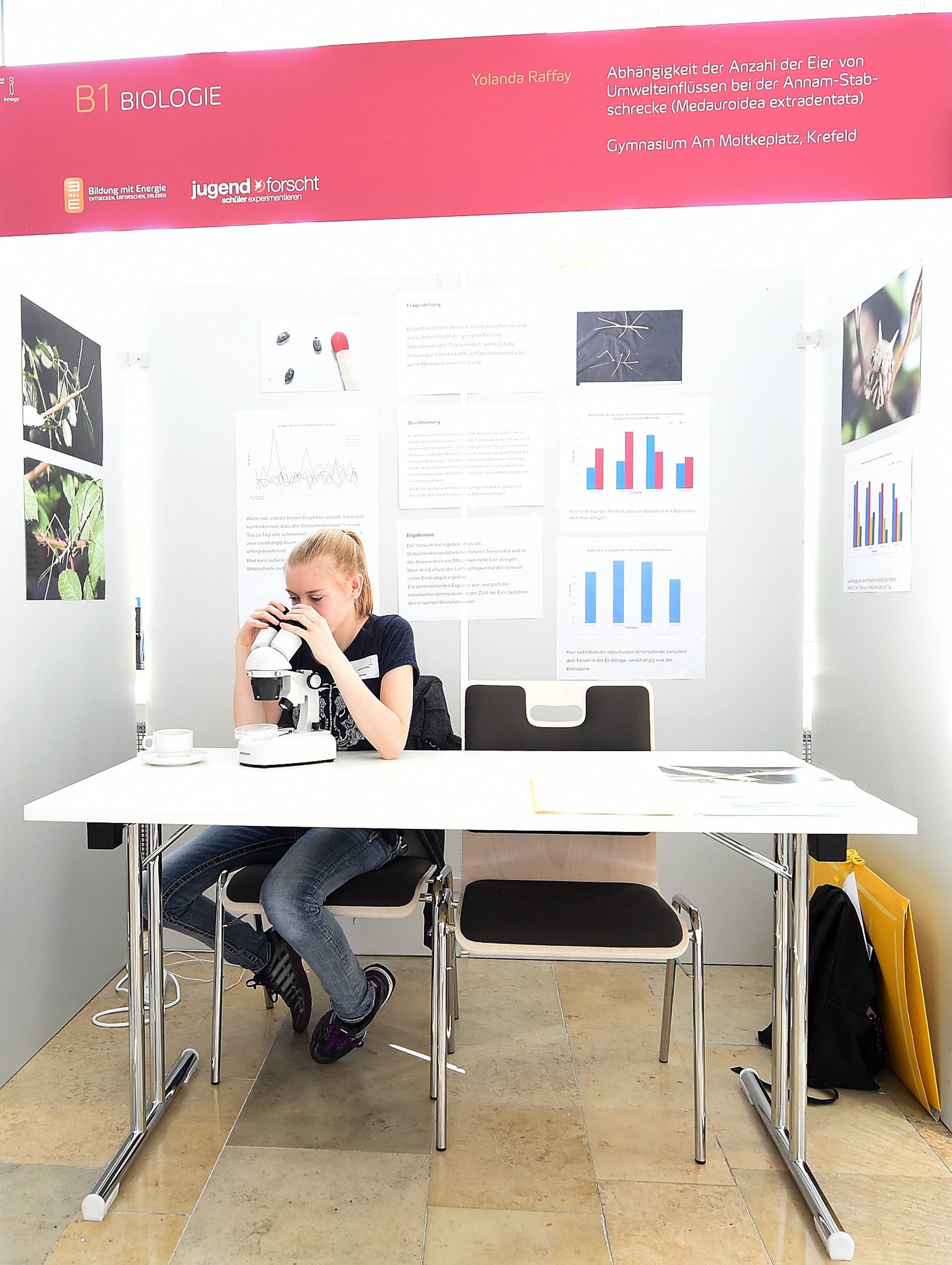 1920_180507-innogy-foto-schuumlex-abhaumlngigkeitderanzahl-gymnasiumkrefel-741218.jpg